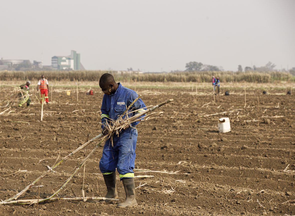 suustainable-farming-practice